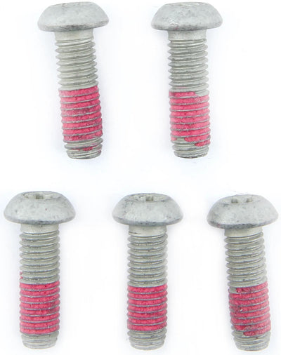 Vis TRW 5pcs. Pour les rotors de frein, 5 pcs.