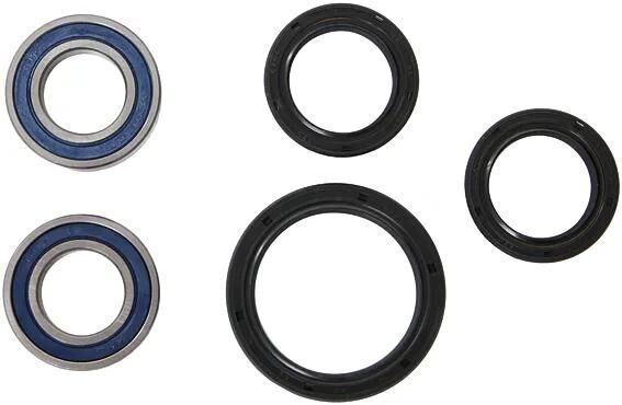 Toutes les couilles de roue de course de balles set 25-108 avec des mijotage