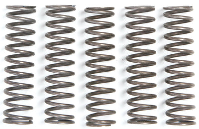 Trw kit de printemps d'embrayage mef105-5