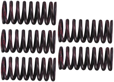 Trw kit de printemps d'embrayage mef316-5