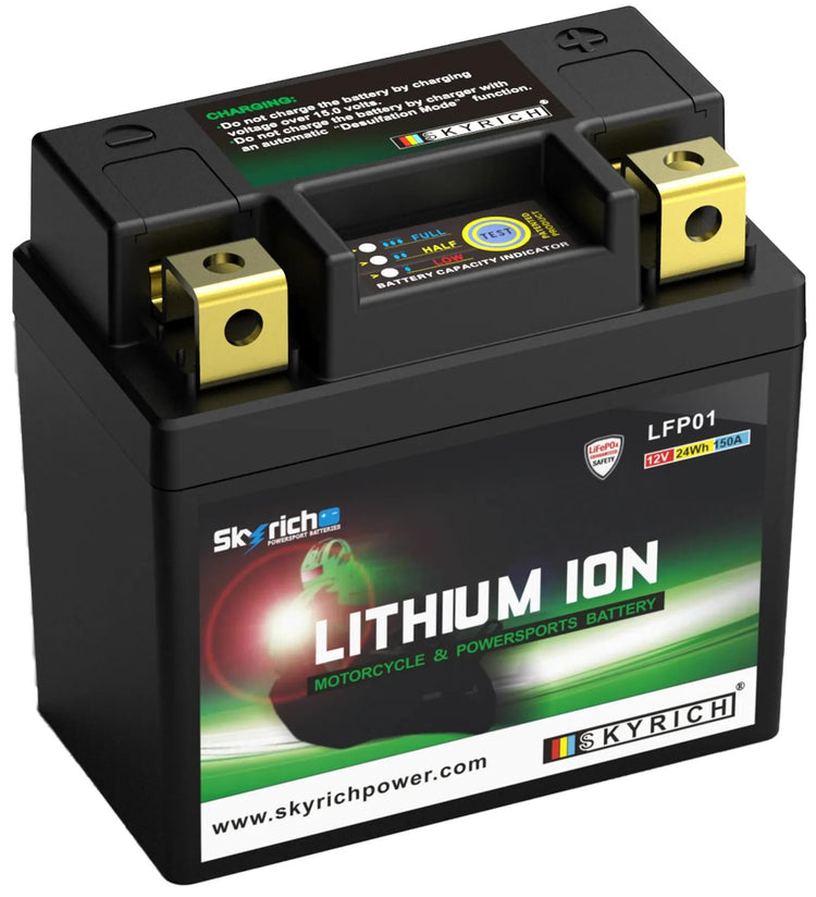 Batterie Skyrich lifepo4 lfp01. batterie lfp01-i lithium