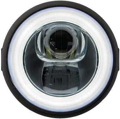 Daytona Main Phitomlight LED