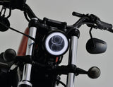 Daytona Main Phitomlight LED - afbeelding 1