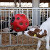 Boule d'alimentation rouge