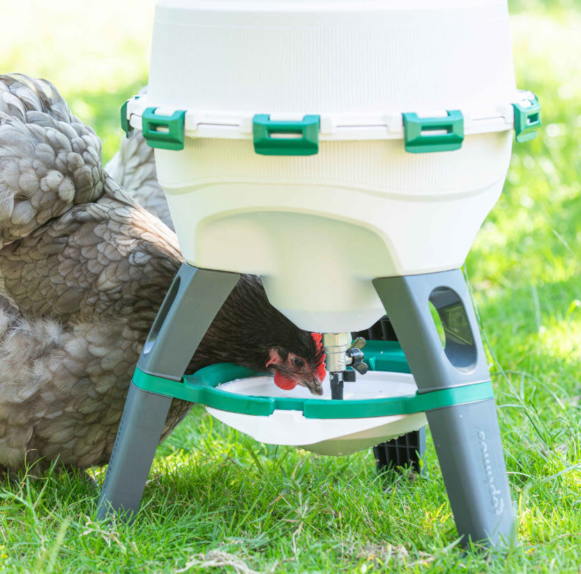 Abreuvoir à siphon Olba optimus 25 litres