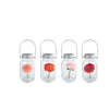 Éclairage LED fleurs verre 10x10x18cm
