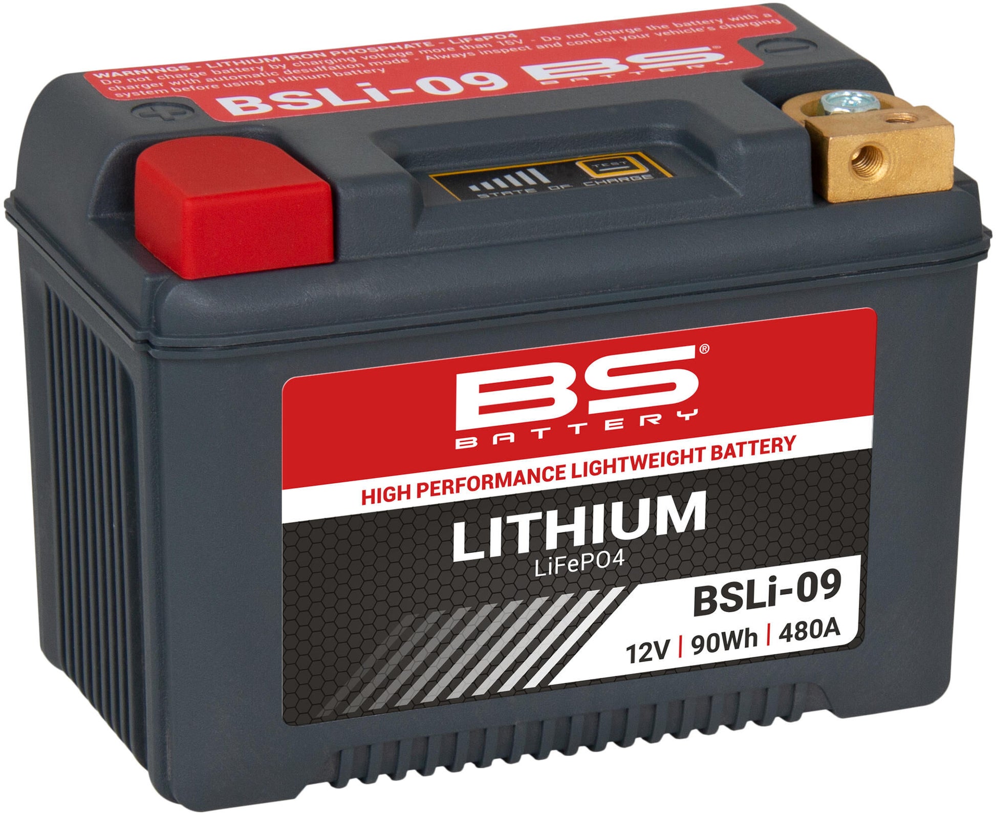 Batterie de batterie BS li09 bs lithium