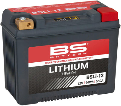 Batterie de batterie BS li12 bs lithium