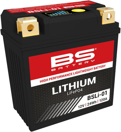 Batterie de batterie BS li01 bs lithium
