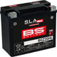 Batterie BS batterie BGZ20HL BS SLA-MAX HD