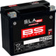 Batterie BS batterie BGZ20H BS SLA-MAX HD
