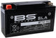 Batterie BS Battery BT12-10Z BS SLA
