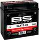 BS BATTERIE BS BATTERIE 12-20 BS SLA GARDE