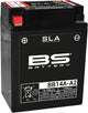 Batterie BS Battery BB14A-A2 BS SLA