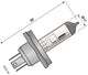 Bulbe de phare Spahn 6V 60 55W P45T