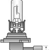 Spahn Headlight Bulb 12V 65W HB3 P20D
