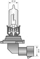 Spahn Headlight Bulb 12V 65W HB3 P20D