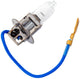 Bulbe de phare Spahn 12V 35W H3 PK22S