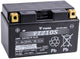 Yuasa Battery YTZ10S.