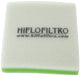 Hiflofiltro remplace.filter hff-2022