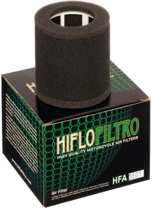 Filtre à air Hiflofiltro HFA-25501