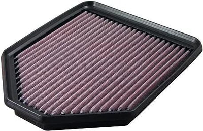 Filtre de remplacement d'ADN PEPLAC. Filtre à air noir