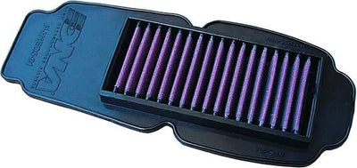 Filtre de remplacement d'ADN PEPLAC. Filtre à air noir