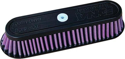 Filtre de remplacement d'ADN PEPLAC. Filtre à air noir