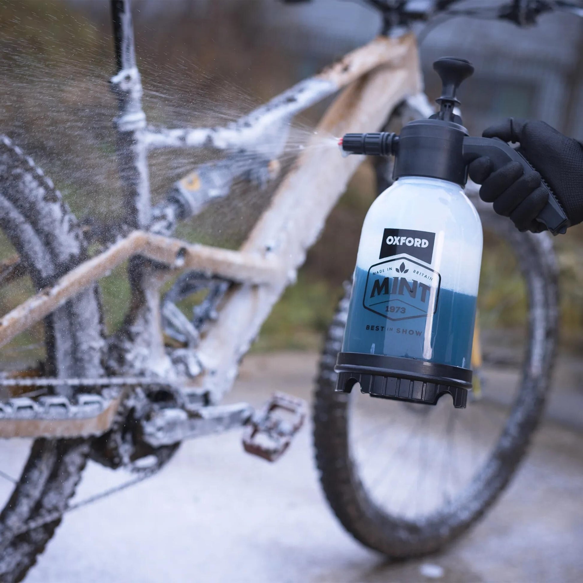 Pulvérisateur de pression de menthe Oxford 2L OX236