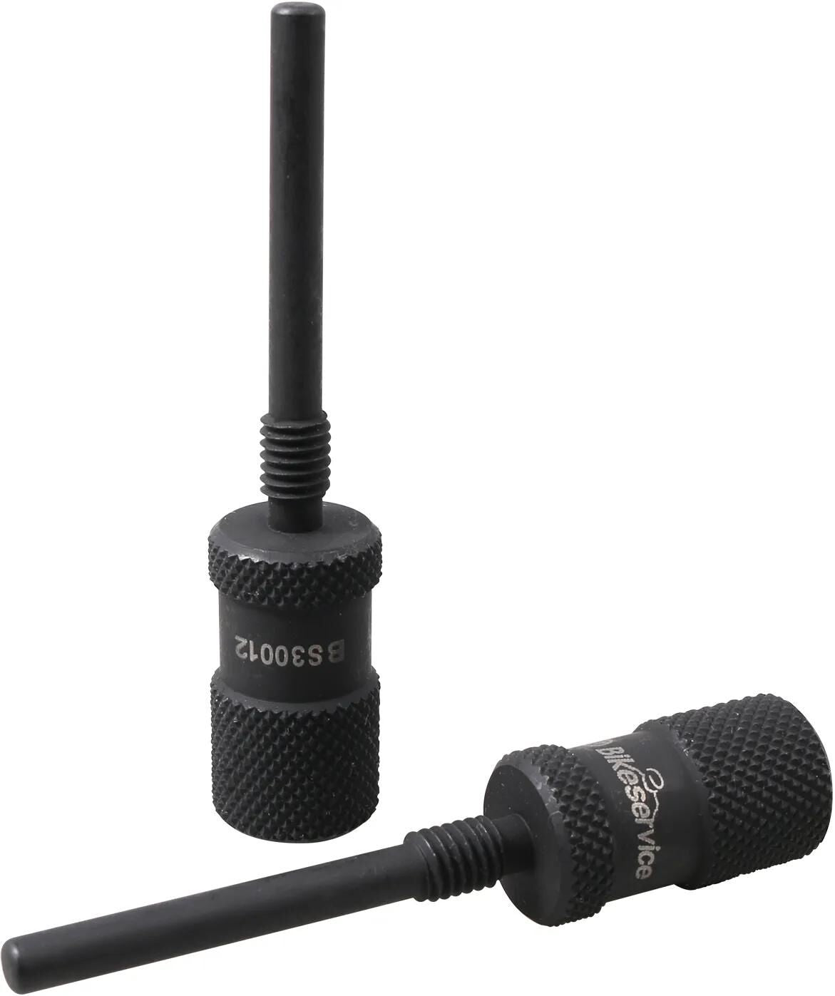 BikeService blckrwrkz Ventilstrg bst 2tlg m6x1.0