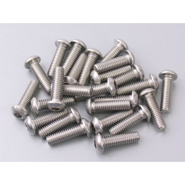 Boulon à tête ronde M6 x 20 mm acier inoxydable 25 pièces (214291)