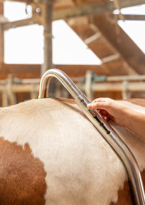 Produits support de tension à dégagement facile galvanisé