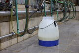 Kerbl seau à lait semi transparent bleu 30 litres - afbeelding 5