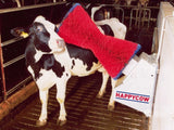 Brosse à vache Happycow uno horizontale - afbeelding 5