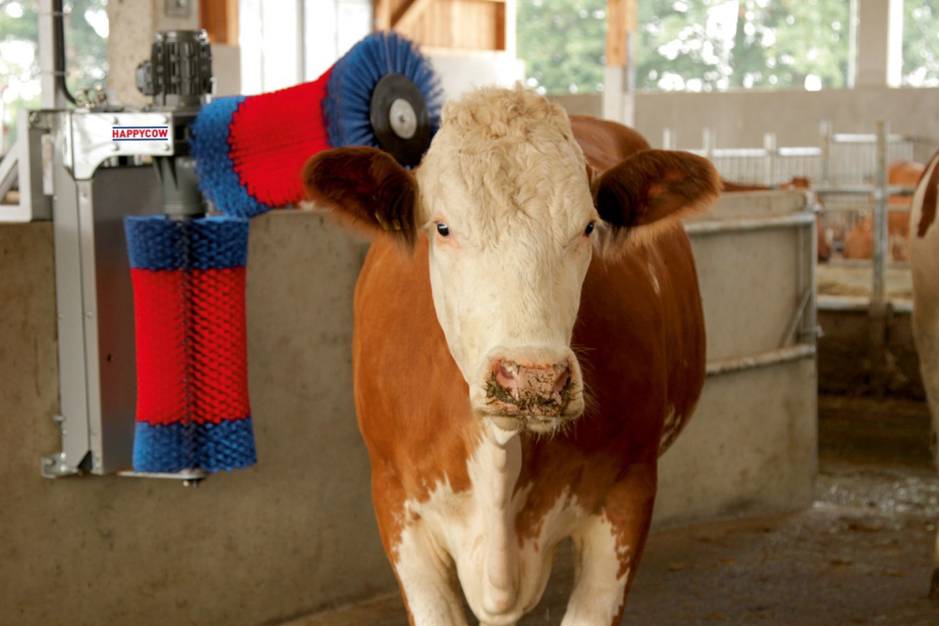Duo de brosses à vaches Happycow