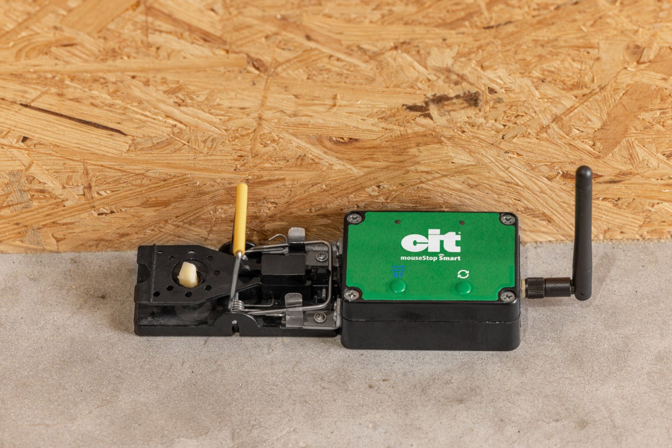 Piège à souris smart cit mousestop