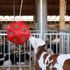 Boule d'alimentation rouge