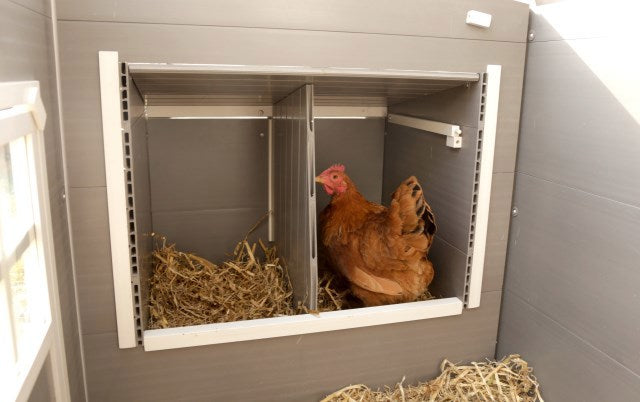 Poulailler eco stable en plastique barney