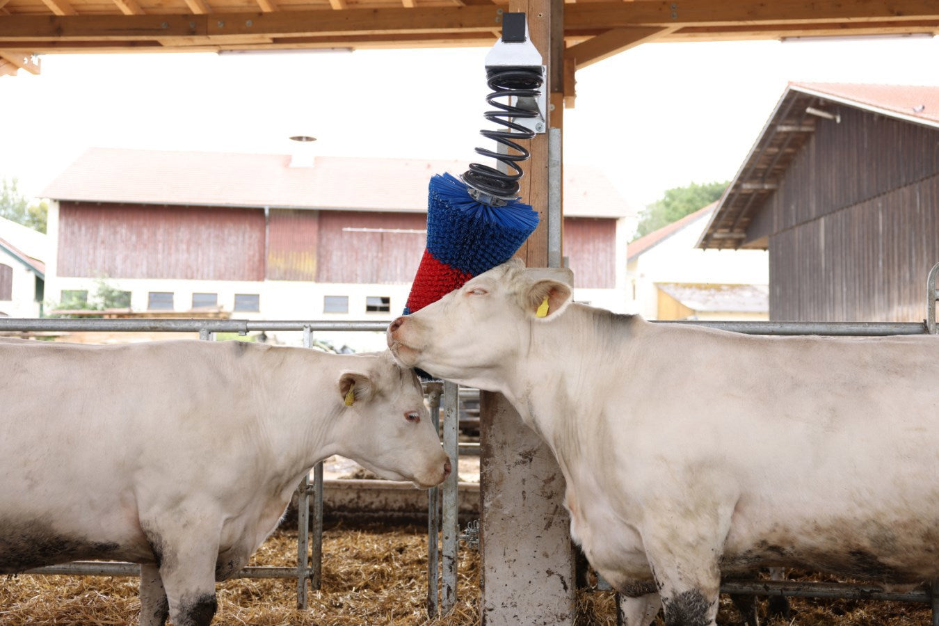 Brosse à bovins Happycow flexiswing