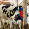 Brosse à vaches semi-circulaire brosse à bovins bleu-rouge xl