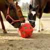 Boule d'alimentation rouge