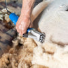 Tondeuse Aesculap econom econom nova 200 watts mouton