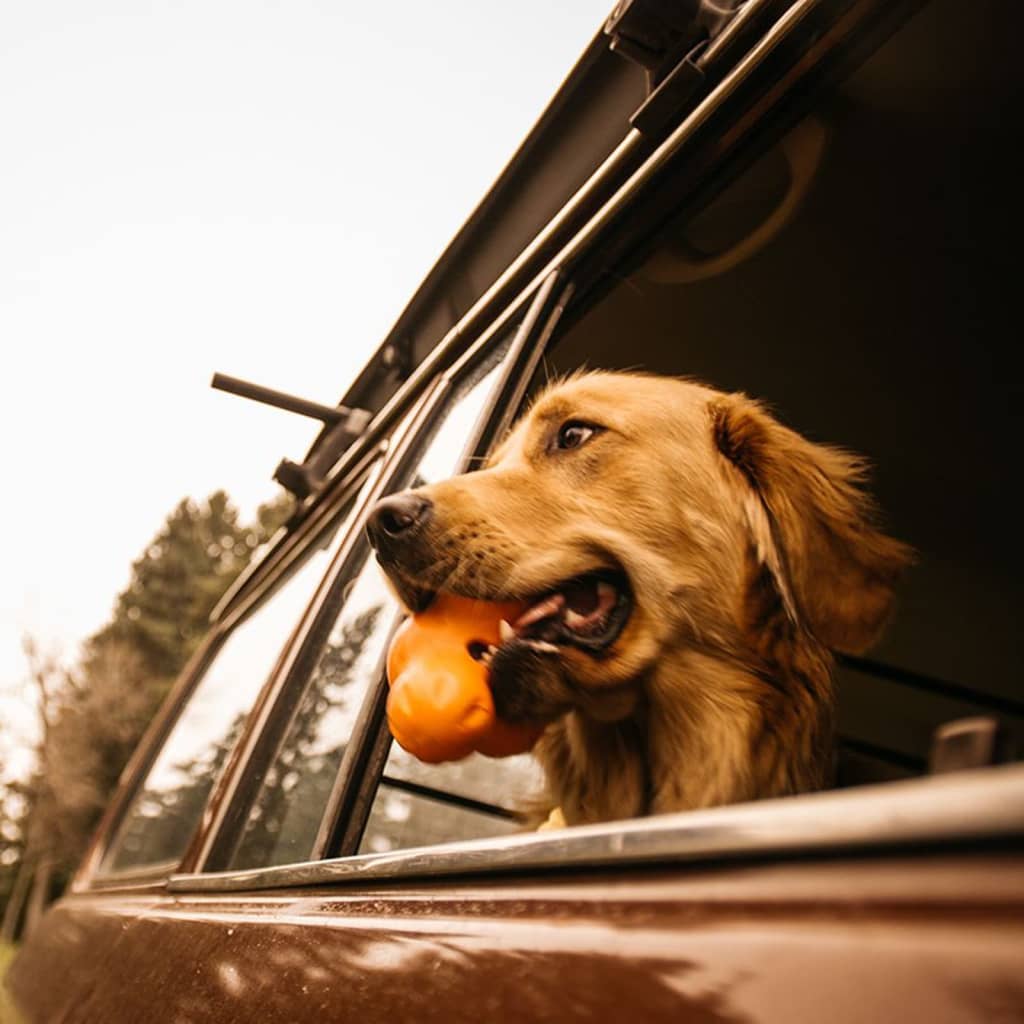 West Paw West Paw Dog Toys avec Zogoflex Tux L Mandarin Orange