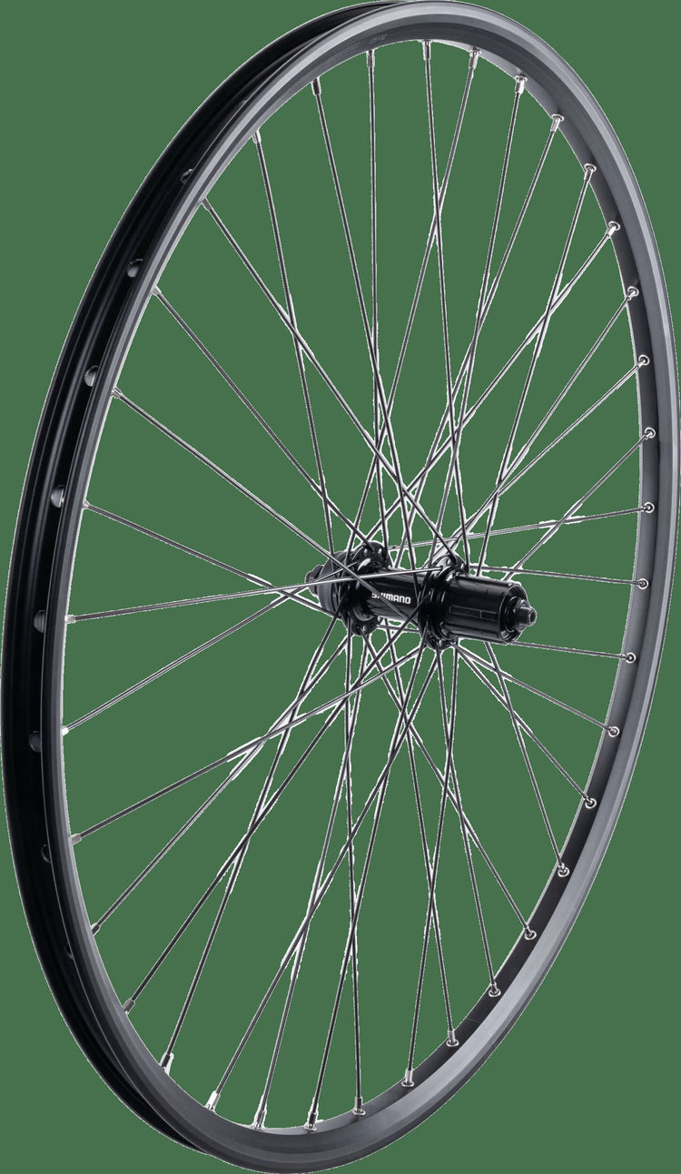 Contec roue arrière taurus 21 + shimano fh-qc400 hr 29 aluminium hk sw 8-1 sp.sw 2.00