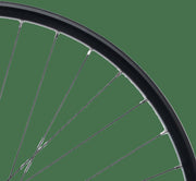 Contec roue arrière taurus 21 + shimano fh-qc400 hr 29 aluminium hk sw 8-1 sp.sw 2.00 - afbeelding 1