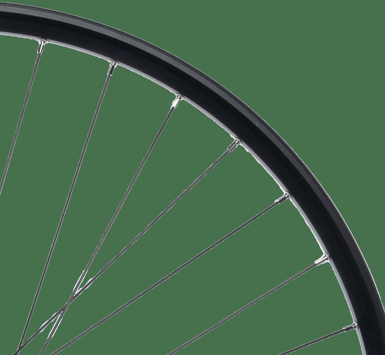 Contec roue arrière taurus 21 + shimano fh-qc400 hr 29 aluminium hk sw 8-1 sp.sw 2.00
