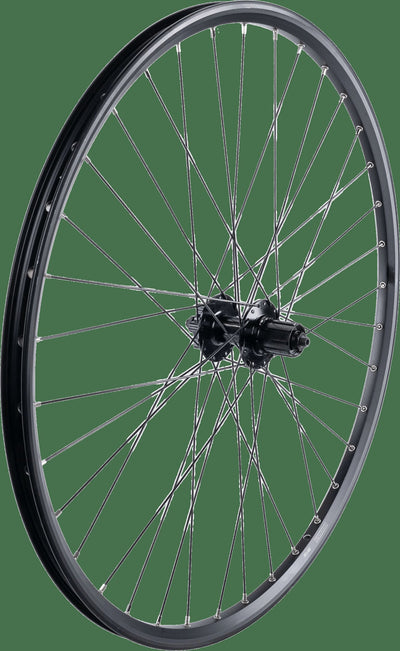 Contec roue arrière taurus 21 + shimano fh-qb400 hr 29 aluminium hk sw 8 9 sp.sw 2.00