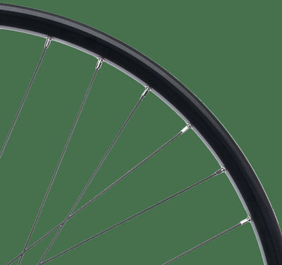 Contec roue arrière taurus 21 + shimano fh-qb400 hr 29 aluminium hk sw 8 9 sp.sw 2.00
