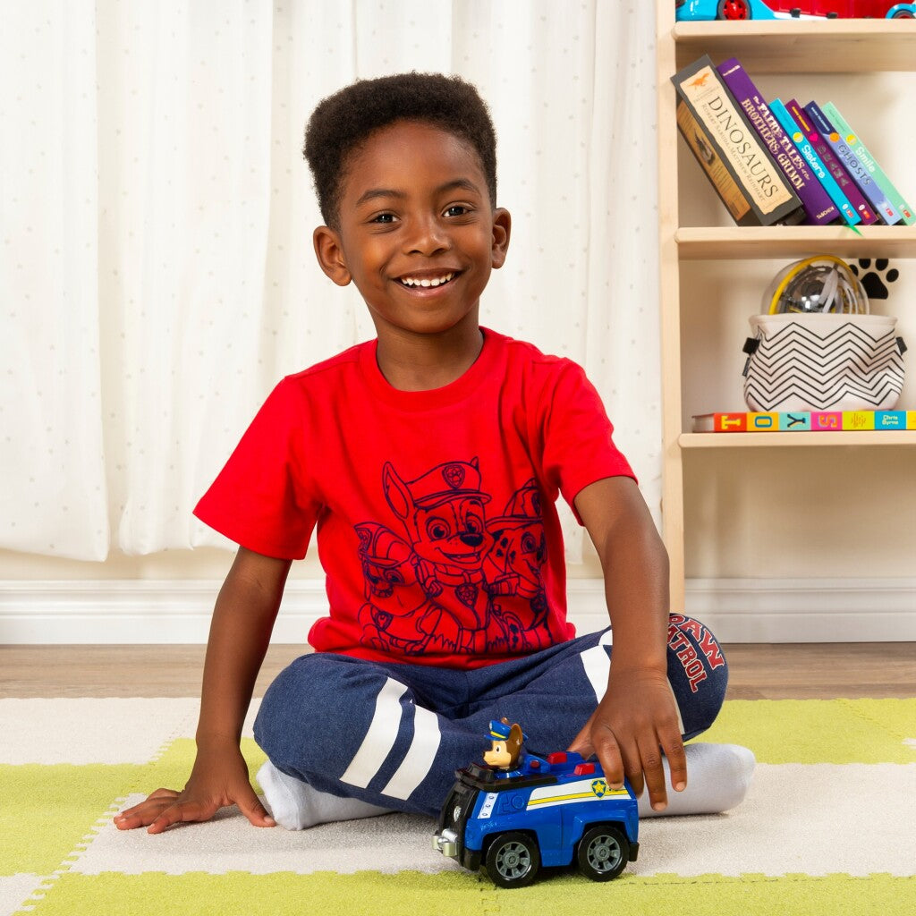 PAW Patrol Basic Vehicle Chase