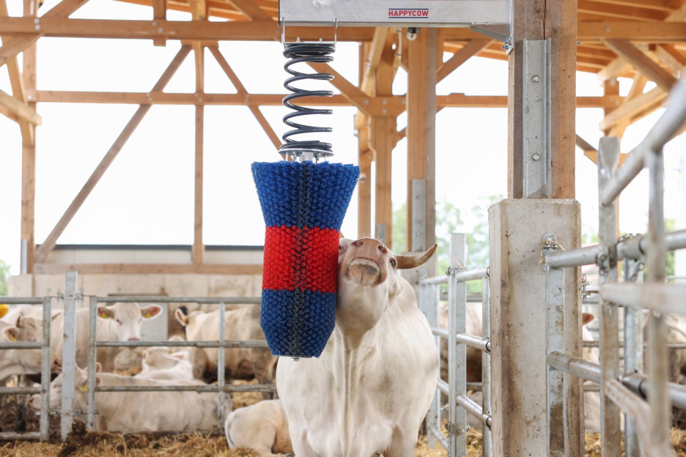 Brosse à bovins Happycow flexiswing